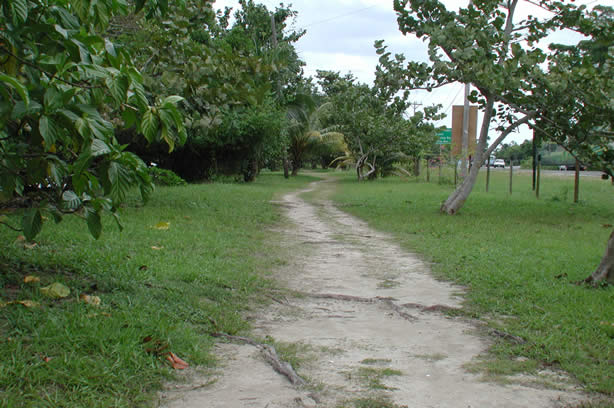 A Photo Walk along Negril's Famous Seven Mile Beach - Negril Travel Guide, Negril Jamaica WI - http://www.negriltravelguide.com - info@negriltravelguide.com...!